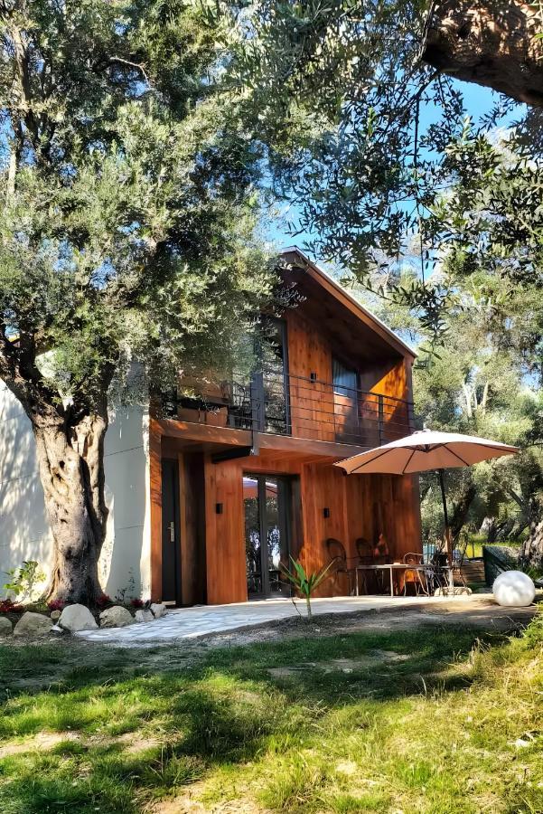 Coratina Cottage Ulcinj Exterior foto